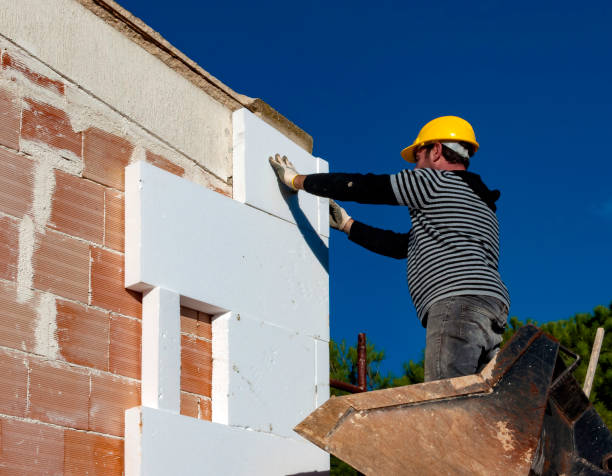 Best Insulation Contractor Near Me  in Roxboro, NC
