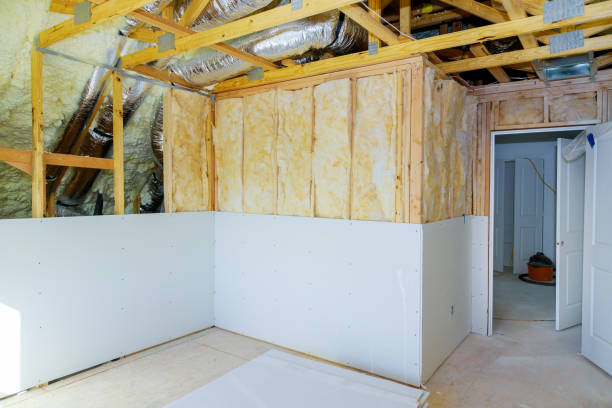 Best Professional Insulation Contractor  in Roxboro, NC