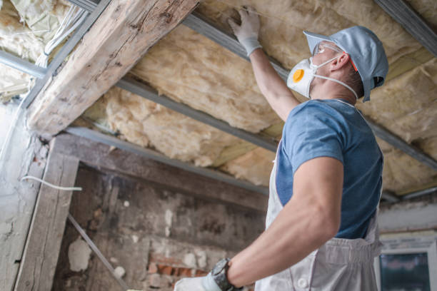 Best Spray Foam Insulation  in Roxboro, NC