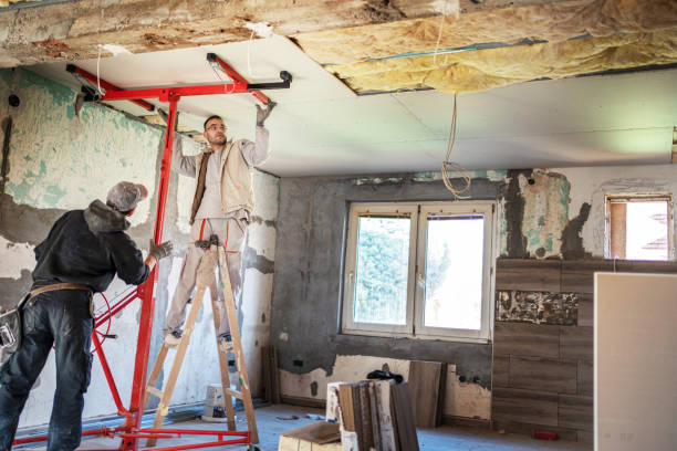 Best Residential Insulation Services  in Roxboro, NC