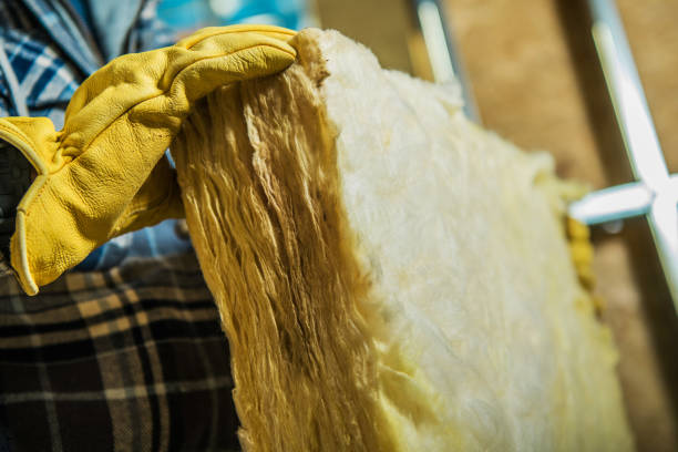 Best Energy-efficient Insulation  in Roxboro, NC
