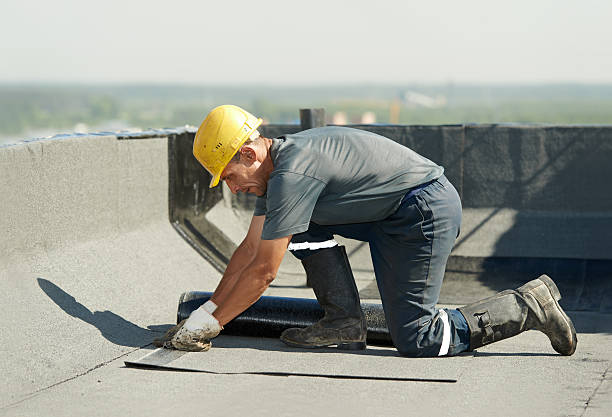 Best Spray Foam Insulation  in Roxboro, NC