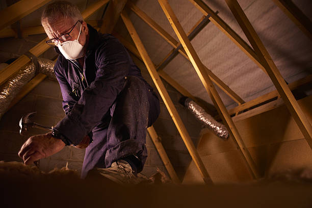 Best Blown-in Insulation  in Roxboro, NC