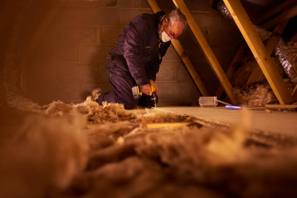 Best Wall Insulation Contractor  in Roxboro, NC
