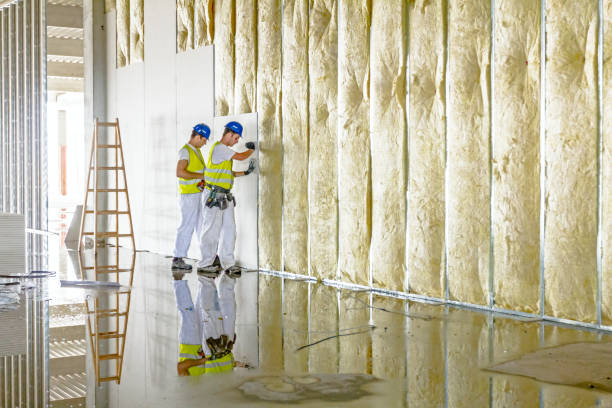 Best Affordable Insulation Services  in Roxboro, NC
